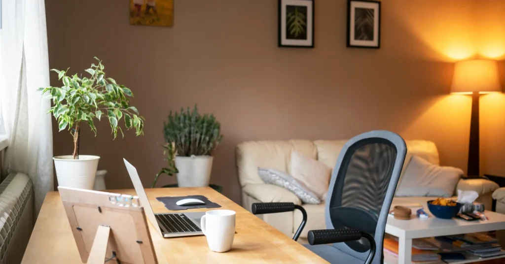 Plants and Bonsai Trees